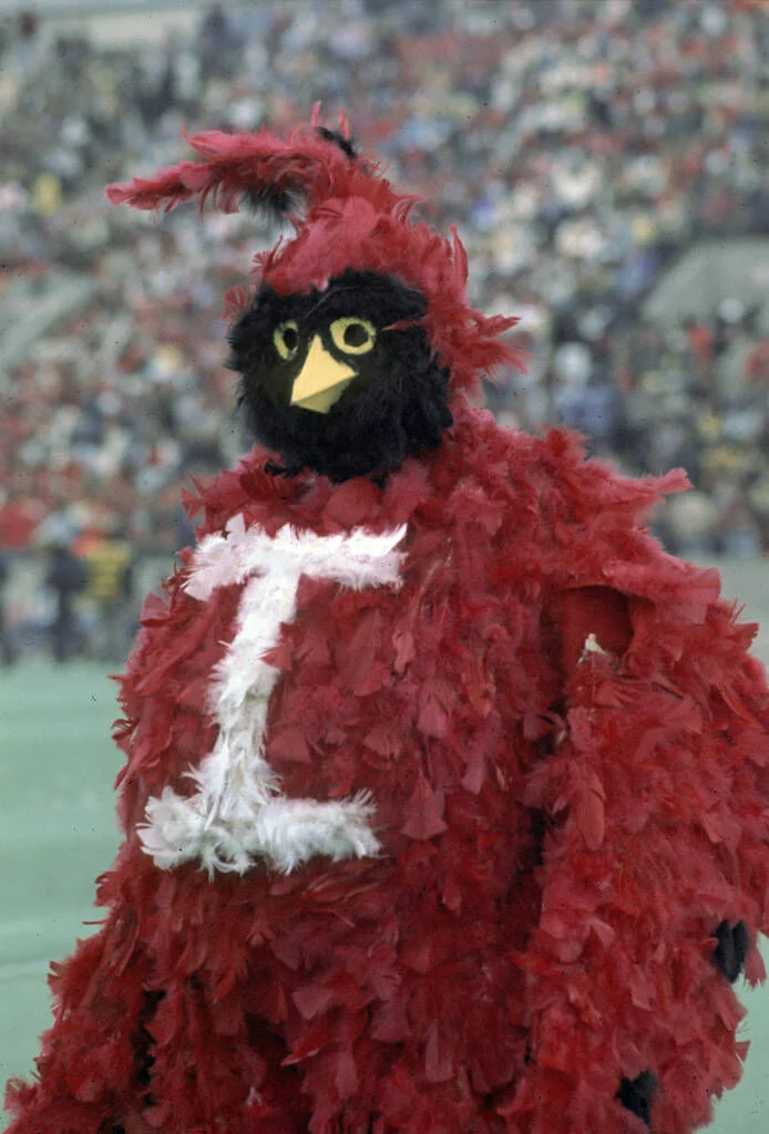 Reggie Redbird